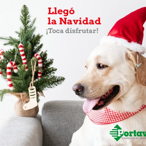 Feliz Navidad 2018 desde Portavet